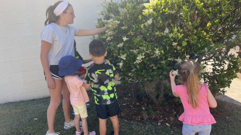 3 Kids checking out a bush outside